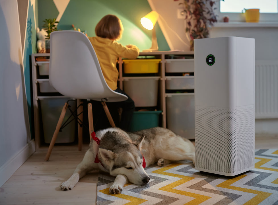 Breathe Clean Air: Complete Guide on Air Purifiers